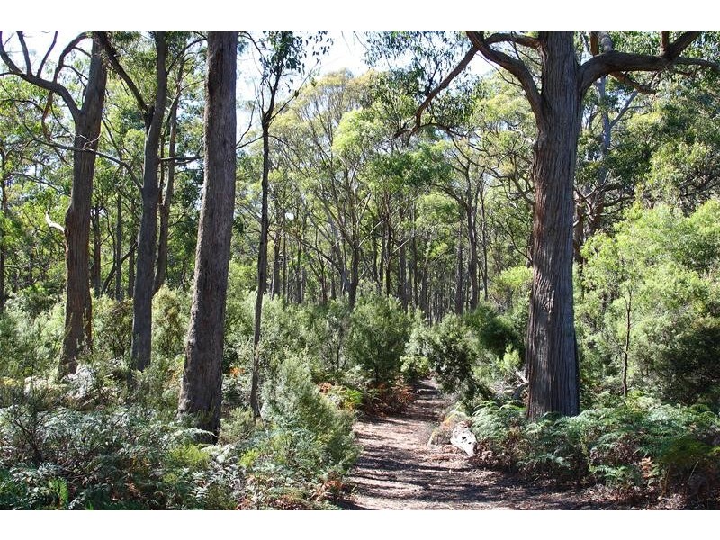 5 Sandhill Road, Cradoc TAS 7109