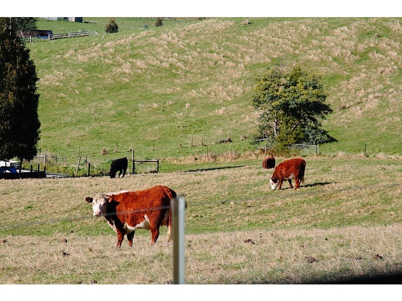 417 Arve Road, Geeveston TAS 7116