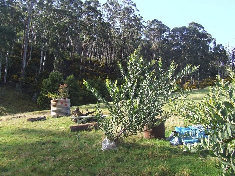 720 Cygnet Coast Road, Petcheys Bay TAS 7109