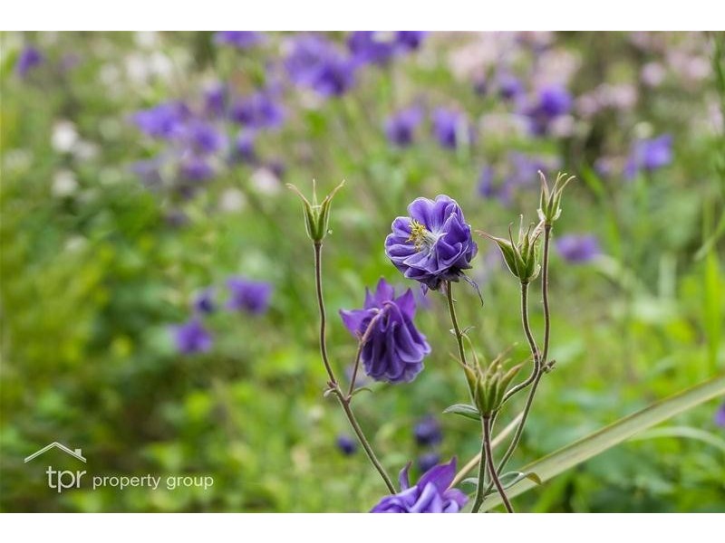 75 Benders Road, Huonville TAS 7109