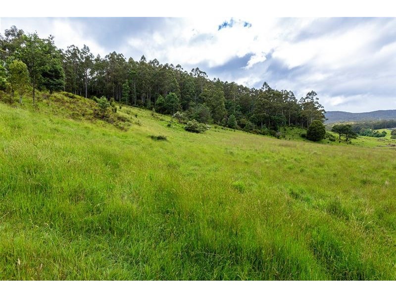 1017 Nicholls Rivulet Road, Nicholls Rivulet TAS 7112