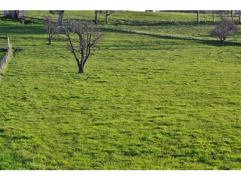 109946/1 Glen Huon Road, Glen Huon TAS 7109