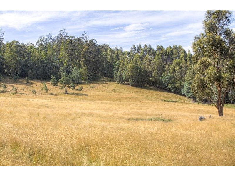 150 Morrisons Road, Huonville TAS 7109