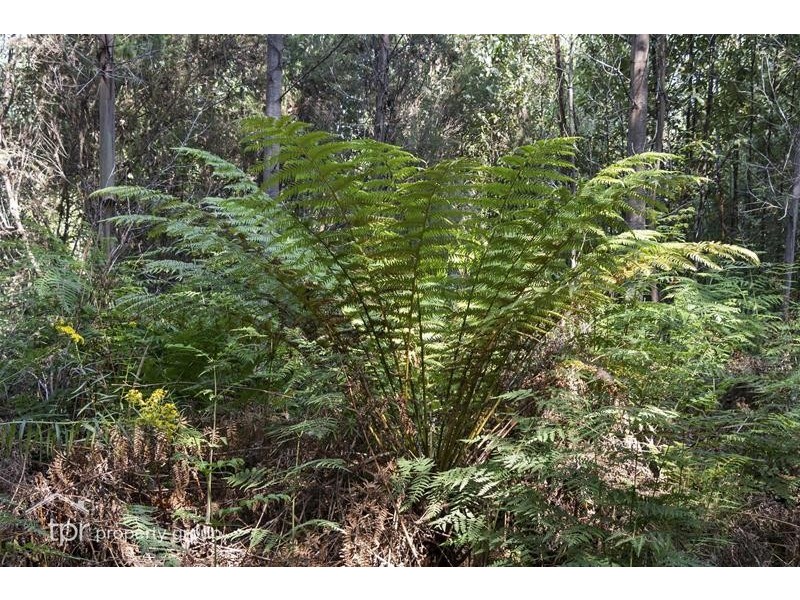 203150/1 Huon Highway, Dover TAS 7117