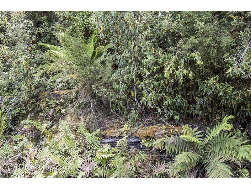 203150/1 Huon Highway, Dover TAS 7117