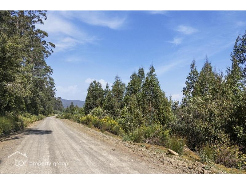 203150/1 Huon Highway, Dover TAS 7117