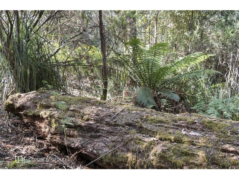 203150/1 Huon Highway, Dover TAS 7117