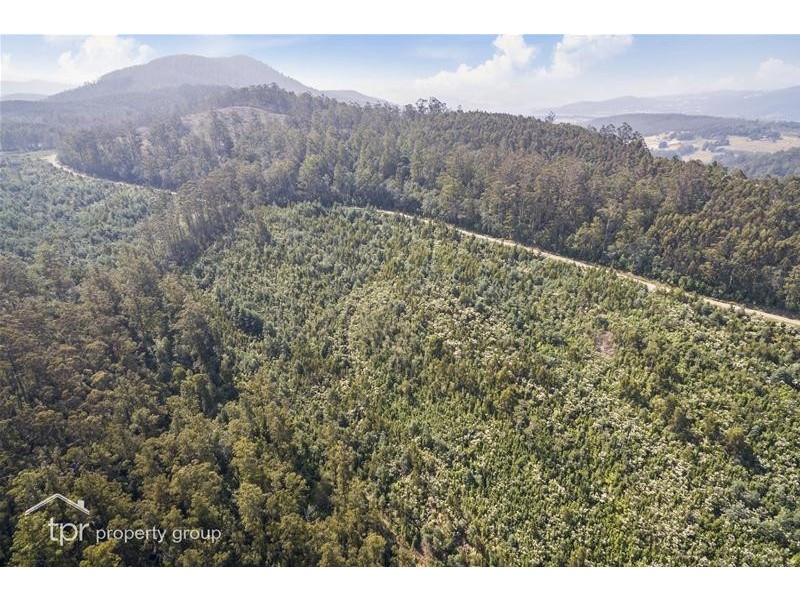 203150/1 Huon Highway, Dover TAS 7117