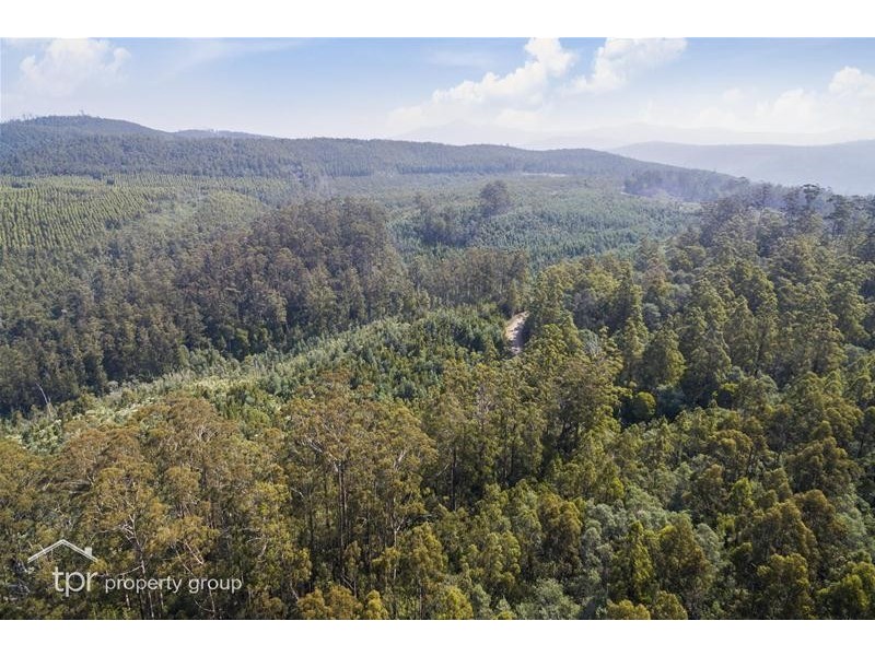 203150/1 Huon Highway, Dover TAS 7117