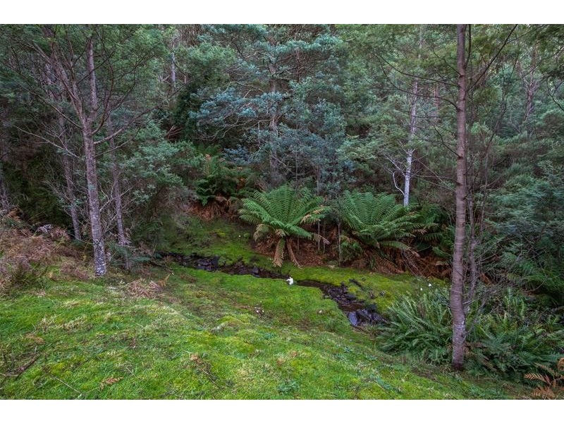 796 Crabtree Road, Crabtree TAS 7109