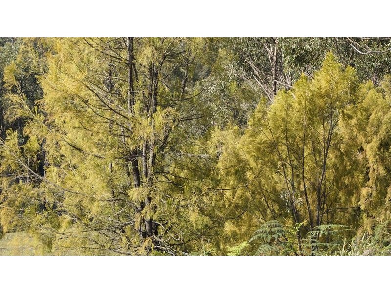 17 Stella Court, Surges Bay TAS 7116