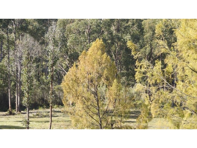 17 Stella Court, Surges Bay TAS 7116