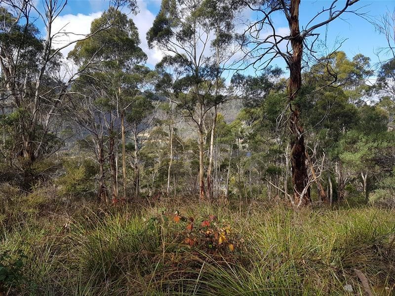 2914 Huon Highway, Huonville TAS 7109