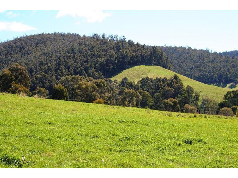 209 Bakers Creek Road, Lucaston TAS 7109