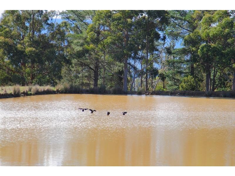 Lot 1 Benders Road, Huonville TAS 7109