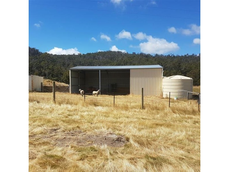 78 Walters Road, Wattle Grove TAS 7109