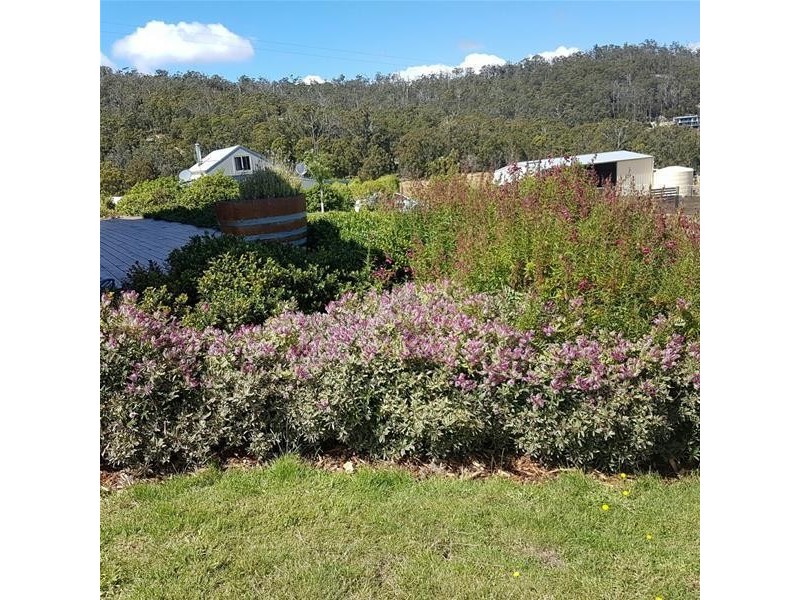 78 Walters Road, Wattle Grove TAS 7109