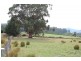 190 Braeside Road, Franklin TAS 7113