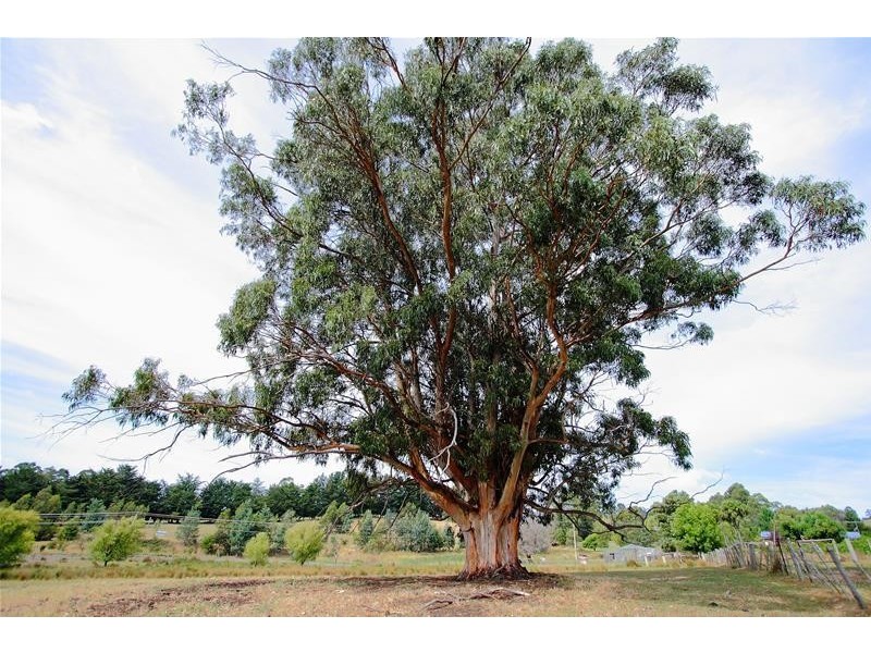 190 Braeside Road, Franklin TAS 7113