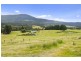 393 She Oak Road, Judbury TAS 7109