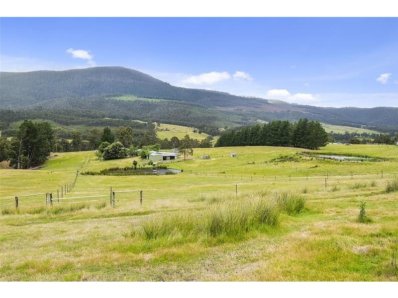 393 She Oak Road, Judbury TAS 7109