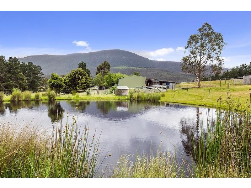 393 She Oak Road, Judbury TAS 7109