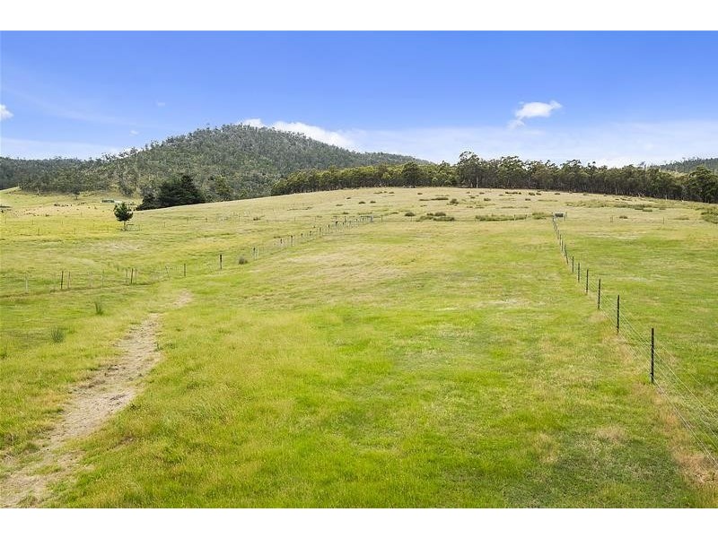 393 She Oak Road, Judbury TAS 7109