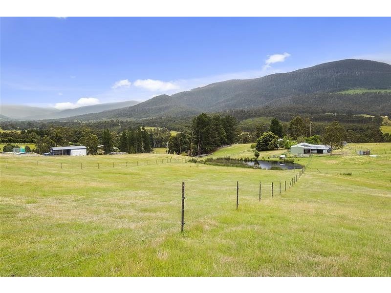 393 She Oak Road, Judbury TAS 7109