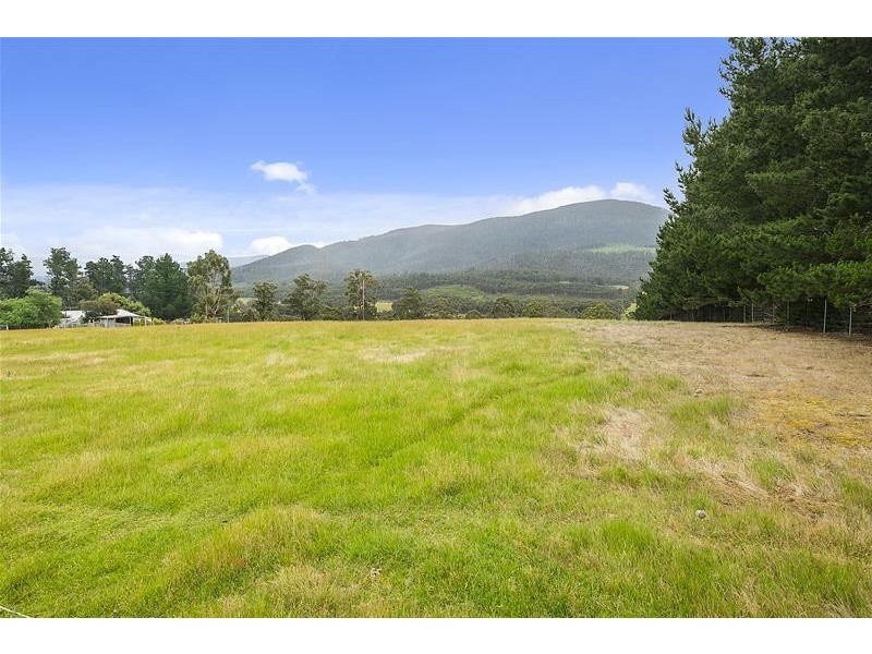 393 She Oak Road, Judbury TAS 7109