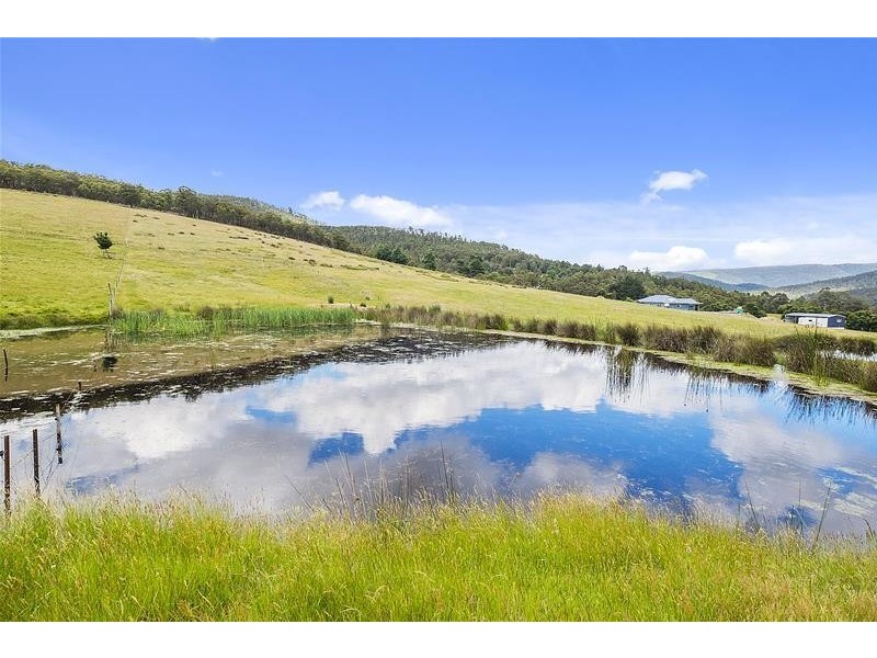 393 She Oak Road, Judbury TAS 7109