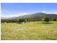 393 She Oak Road, Judbury TAS 7109