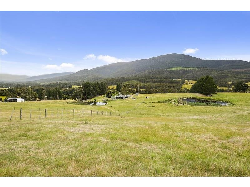 393 She Oak Road, Judbury TAS 7109