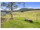 393 She Oak Road, Judbury TAS 7109