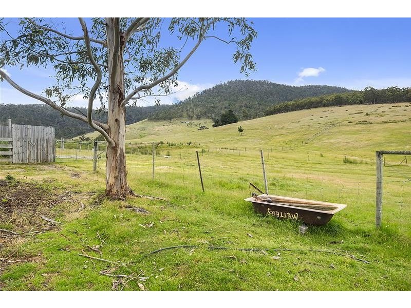 393 She Oak Road, Judbury TAS 7109