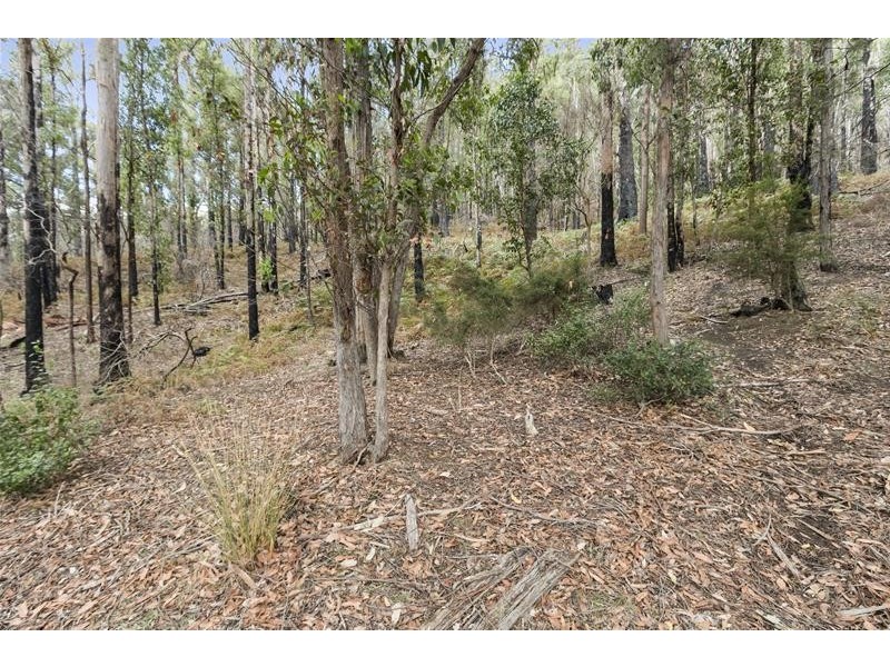 100 Coal Mine Road, Gardners Bay TAS 7112