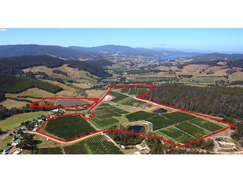 7891 Channel Highway, Cygnet TAS 7112