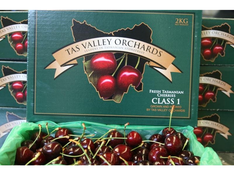 7891 Channel Highway, Cygnet TAS 7112