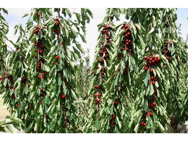 7891 Channel Highway, Cygnet TAS 7112