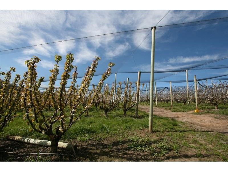 7891 Channel Highway, Cygnet TAS 7112