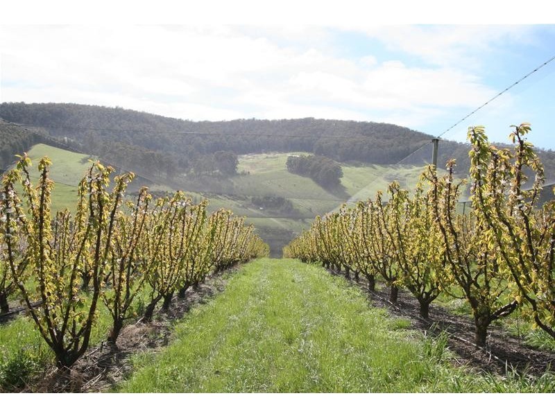 7891 Channel Highway, Cygnet TAS 7112