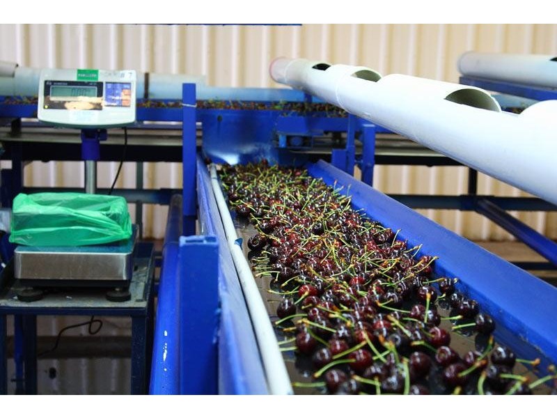 7891 Channel Highway, Cygnet TAS 7112