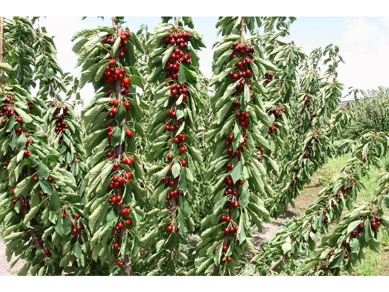 7891 Channel Highway, Cygnet TAS 7112