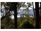 LOT 7 Whitecliffes Road, Brooks Bay TAS 7116