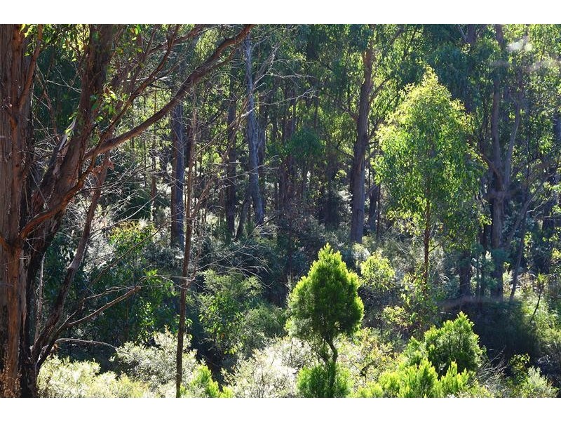 LOT 7 Whitecliffes Road, Brooks Bay TAS 7116