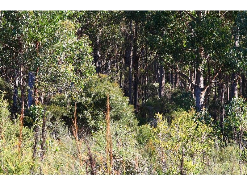 LOT 7 Whitecliffes Road, Brooks Bay TAS 7116