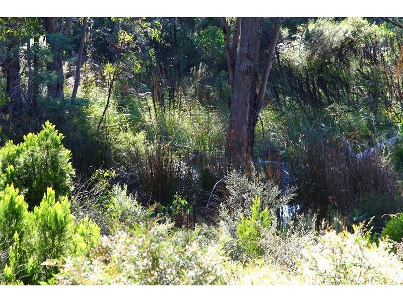 LOT 7 Whitecliffes Road, Brooks Bay TAS 7116