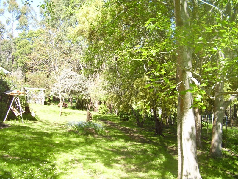 150 Narrows Road, Strathblane TAS 7109