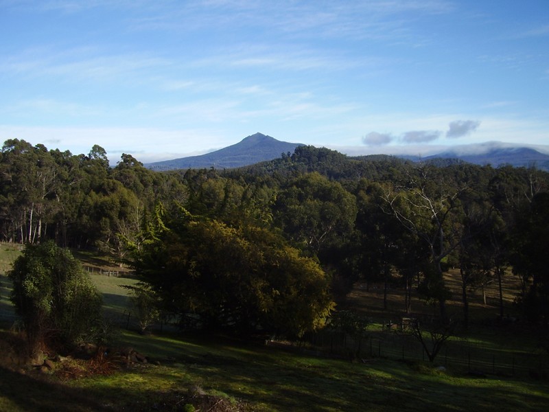 150 Narrows Road, Strathblane TAS 7109