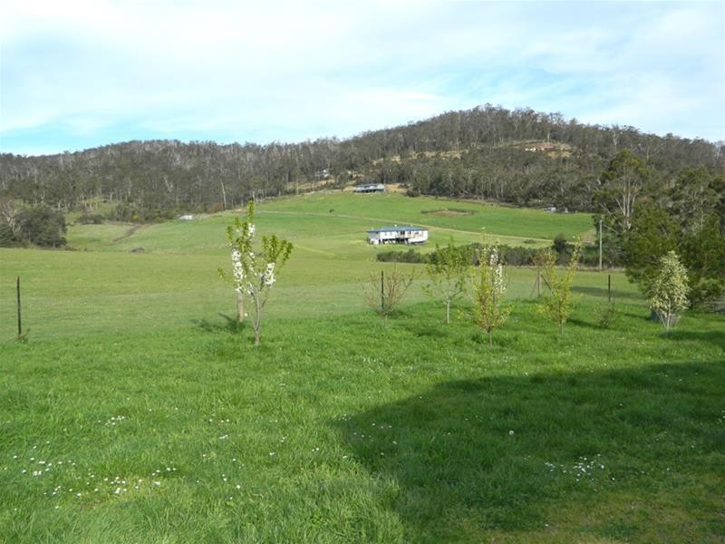 12 Walters Road, Wattle Grove TAS 7109