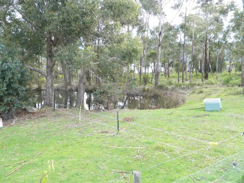 12 Walters Road, Wattle Grove TAS 7109